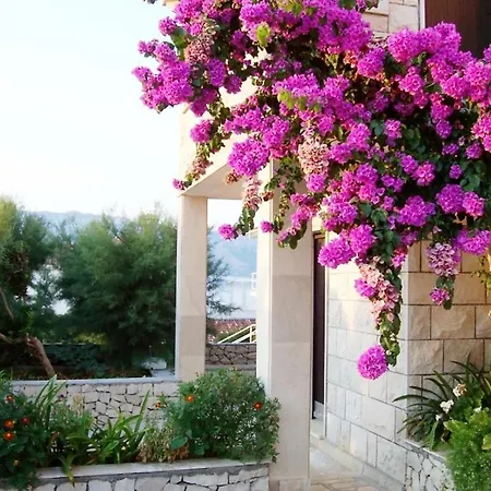 In With Terrace, Air Conditioning, Wifi 4991-1 * Povlja (Brac)